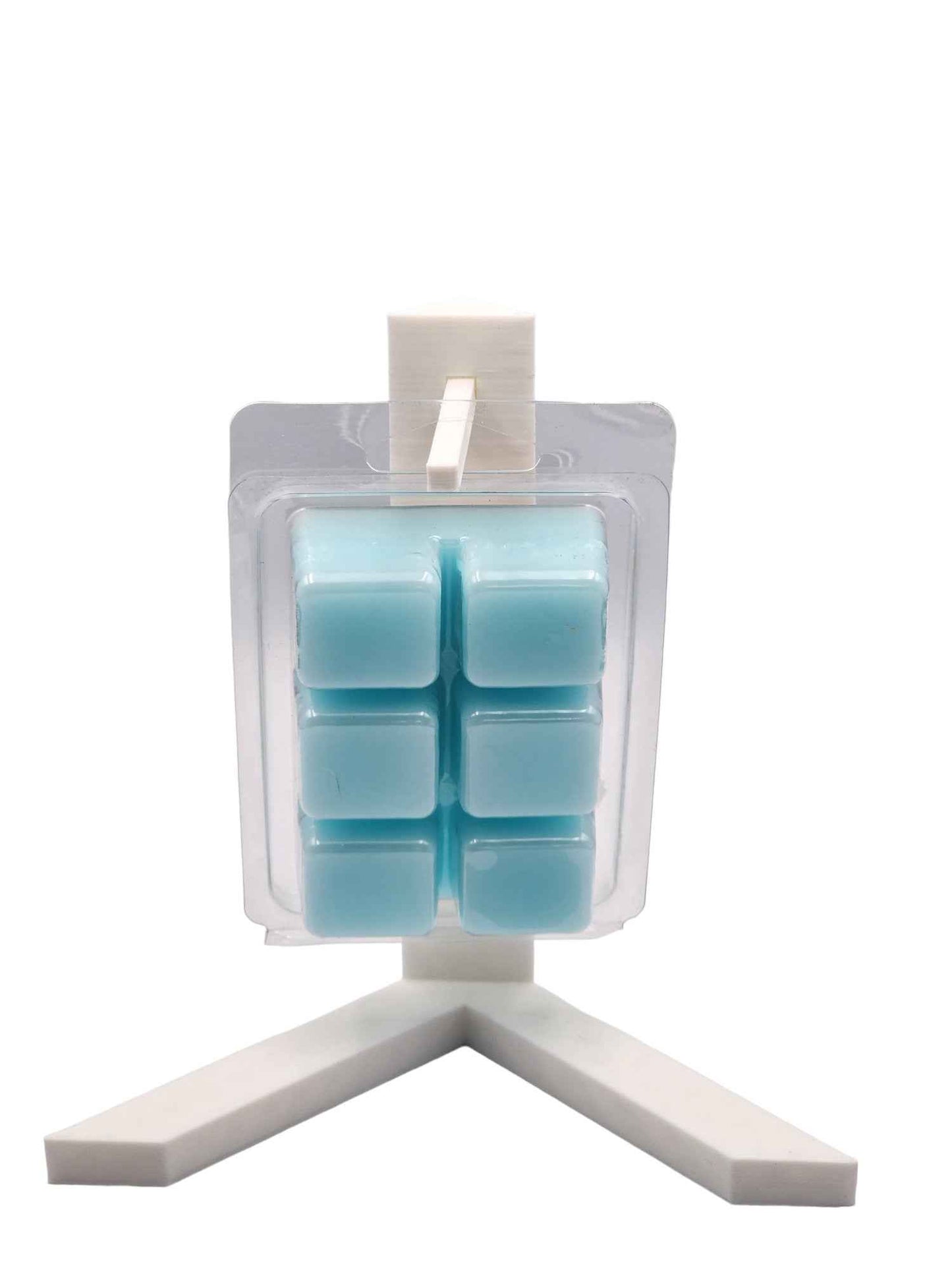 Beach Day Wax Melt - Summer Fragrance for Your Space-Les Creations Corkys