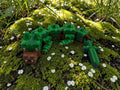 🌍 Baby Earth Dragon with Storage Cube – Articulated 3D Printed Mini Dragon | 15cm Flexi Dragon & Matching Display Box