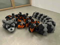 🦝 StarBandit Raccoon Dragon – Articulated 3D Printed Flexi Dragon | 41cm Collectible Dragon